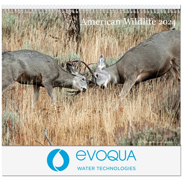 Monthly Wall Calendar - American Wildlife - Monthly Wall Calendar - American Wildlife - Image 2 of 2