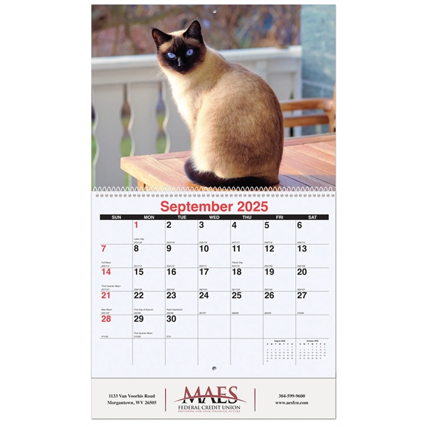 Furever Friends Wall Calendar - Furever Friends Wall Calendar - Image 0 of 2