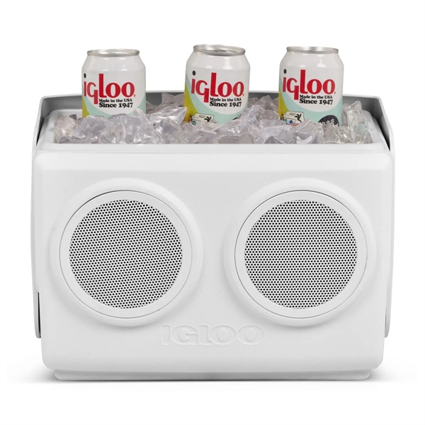 Igloo® Kooltunes® 14 Qt Cooler - Igloo® Kooltunes® 14 Qt Cooler - Image 13 of 18