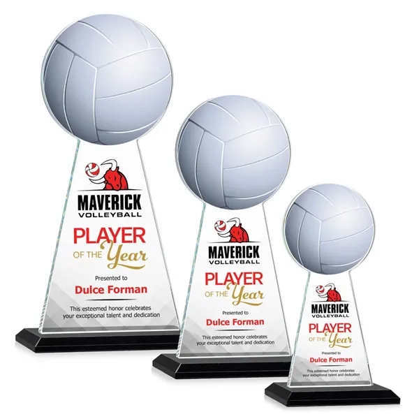 Edenwood Volleyball VividPrint™ Award - Black