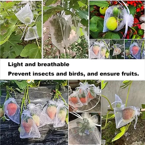 Organza Bags - Organza Bags - Image 4 of 4