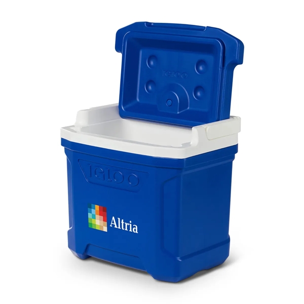 Igloo® Profile II 16 Qt Cooler - Igloo® Profile II 16 Qt Cooler - Image 5 of 26