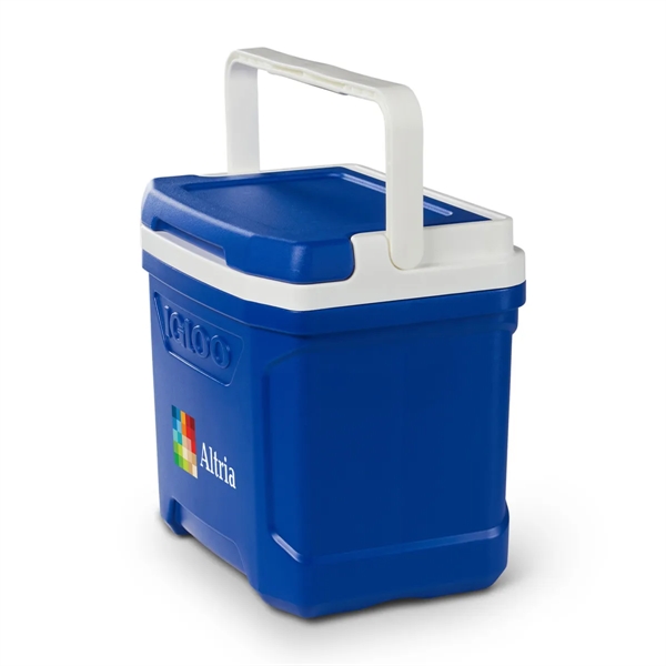 Igloo® Profile II 16 Qt Cooler - Igloo® Profile II 16 Qt Cooler - Image 6 of 26