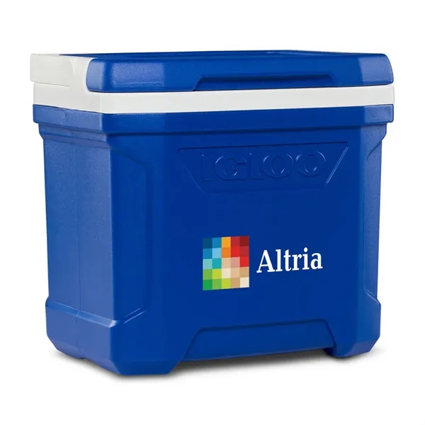 Igloo® Profile II 16 Qt Cooler - Igloo® Profile II 16 Qt Cooler - Image 9 of 26