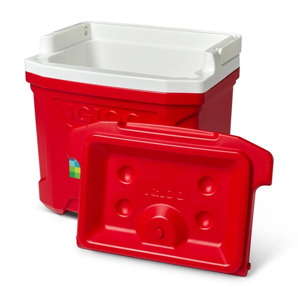 Igloo® Profile II 16 Qt Cooler - Igloo® Profile II 16 Qt Cooler - Image 20 of 26