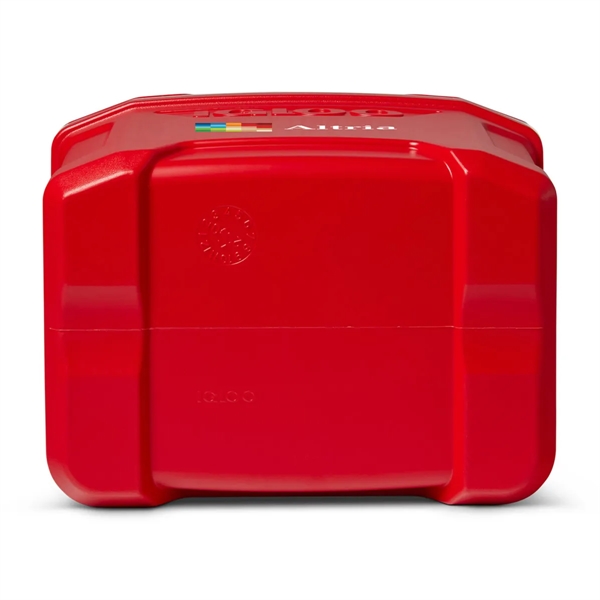 Igloo® Profile II 16 Qt Cooler - Igloo® Profile II 16 Qt Cooler - Image 26 of 26