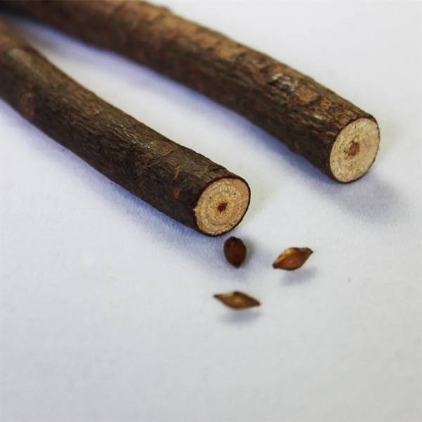 Disposable Creative Original Ecological Wooden Ballpoint Pen - Disposable Creative Original Ecological Wooden Ballpoint Pen - Image 4 of 4