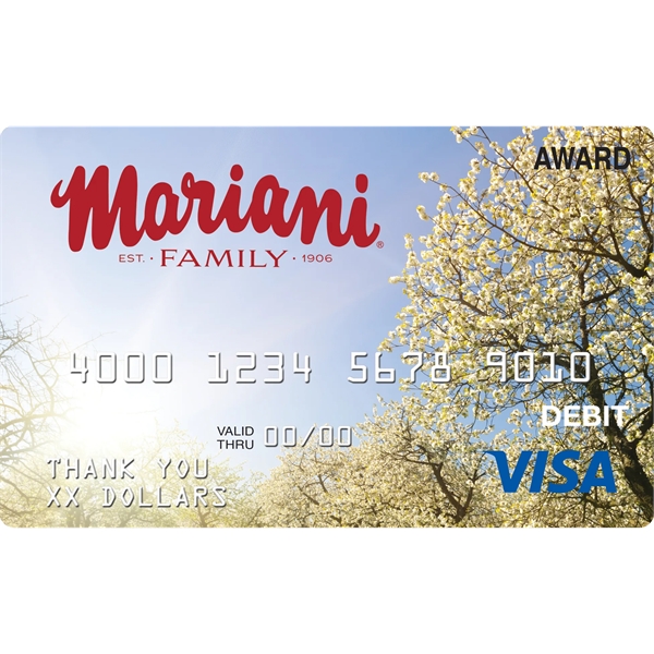 Custom Prepaid Visa Incentive Cards - Custom Prepaid Visa Incentive Cards - Image 3 of 12