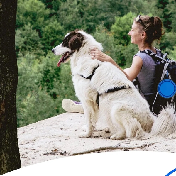 Dog Bowl Pet Collapsible - Dog Bowl Pet Collapsible - Image 4 of 4