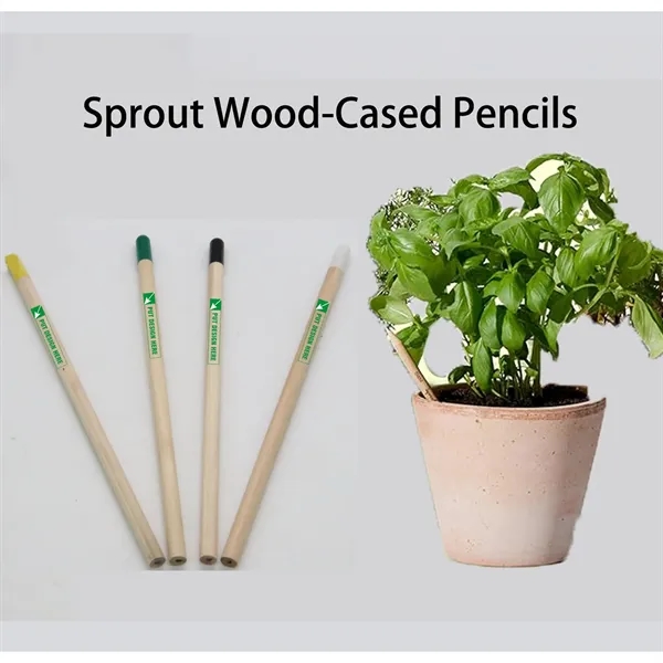 Plantable  wooden Capsule Pencils - Plantable  wooden Capsule Pencils - Image 0 of 5