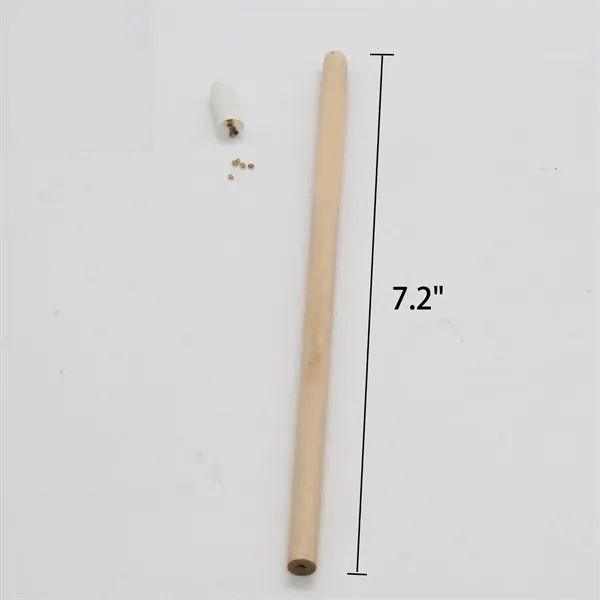 Plantable  wooden Capsule Pencils - Plantable  wooden Capsule Pencils - Image 1 of 5