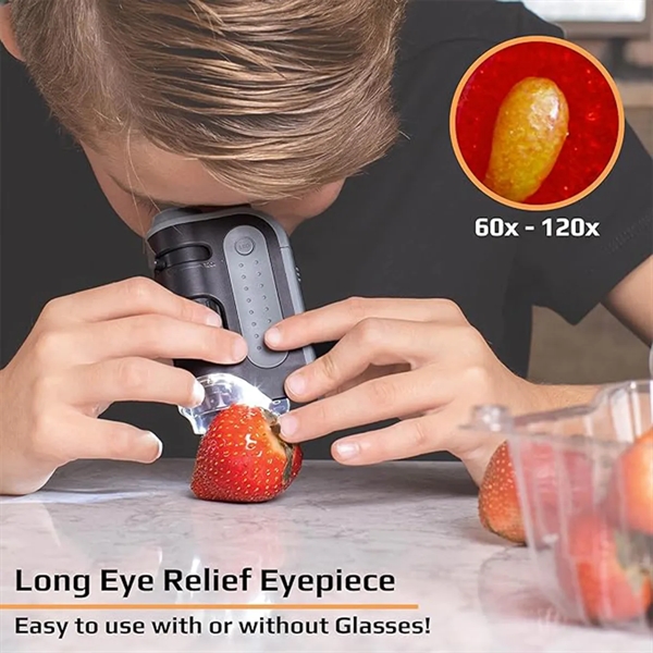 Lighted Pocket Portable Science Lab Handheld Microscope - Lighted Pocket Portable Science Lab Handheld Microscope - Image 2 of 3