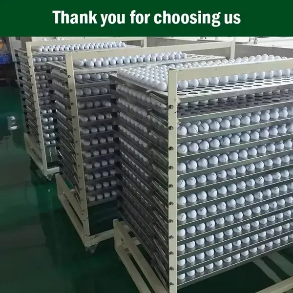 Wholesale Custom Logo Golf Tournament Balls Golfballs - Wholesale Custom Logo Golf Tournament Balls Golfballs - Image 7 of 10