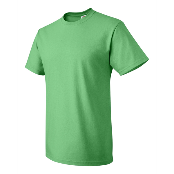 Fruit of the Loom HD Cotton Short Sleeve T-Shirt - Fruit of the Loom HD Cotton Short Sleeve T-Shirt - Image 23 of 84