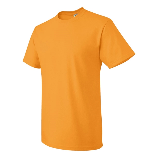 Fruit of the Loom HD Cotton Short Sleeve T-Shirt - Fruit of the Loom HD Cotton Short Sleeve T-Shirt - Image 47 of 84