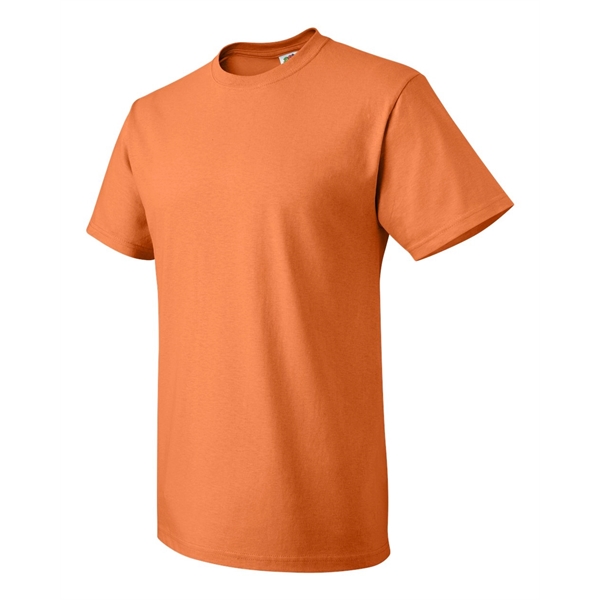 Fruit of the Loom HD Cotton Short Sleeve T-Shirt - Fruit of the Loom HD Cotton Short Sleeve T-Shirt - Image 54 of 84