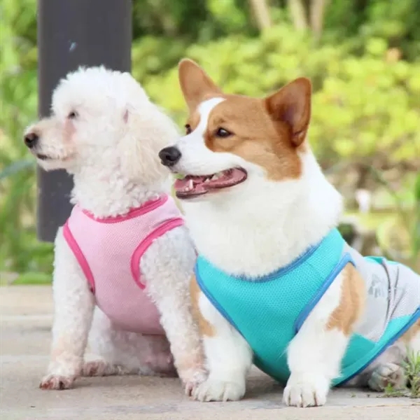 Summer Reflective Dog Cooling Vest Breathable & Light Weight - Summer Reflective Dog Cooling Vest Breathable & Light Weight - Image 2 of 4