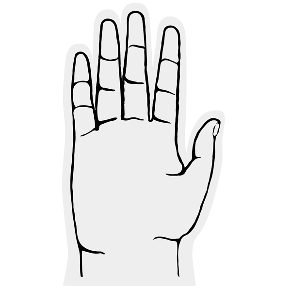 5 Finger Foam hand - 5 Finger Foam hand - Image 16 of 17