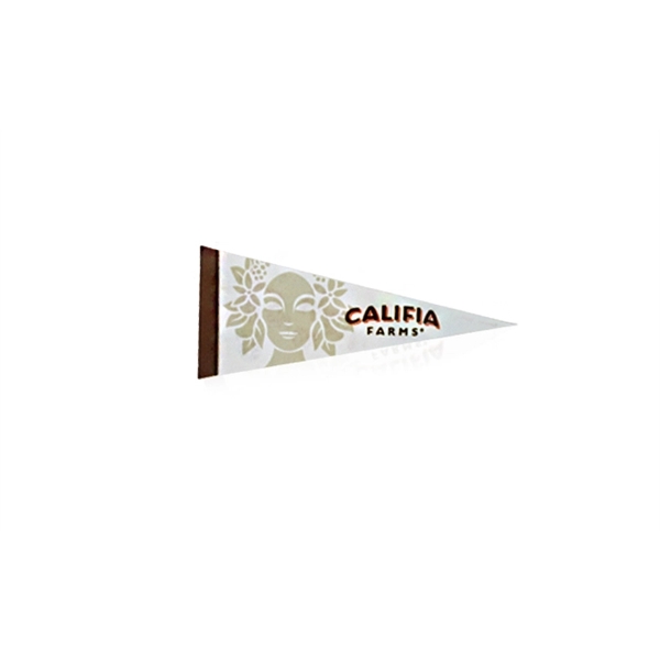 Small Full-Color Pennants