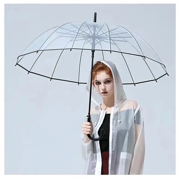 Long-handled Transparent Umbrella - Long-handled Transparent Umbrella - Image 3 of 3