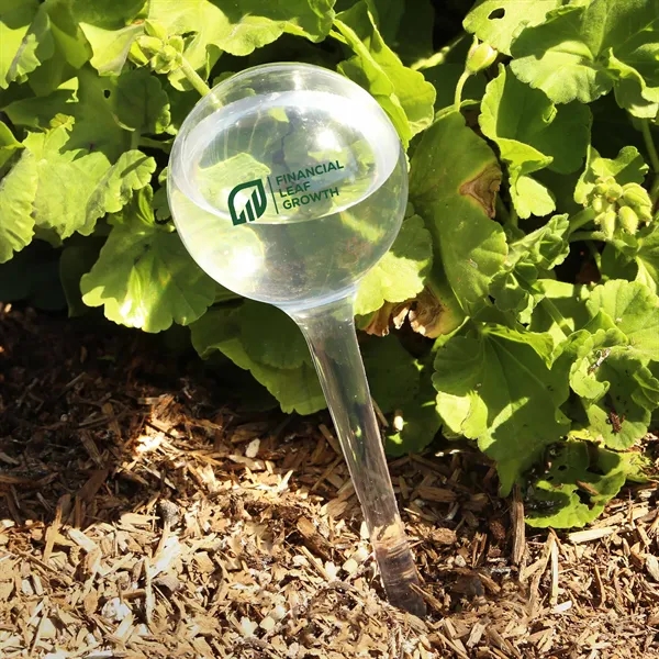 Custom Evergreen Self-Watering Globe
