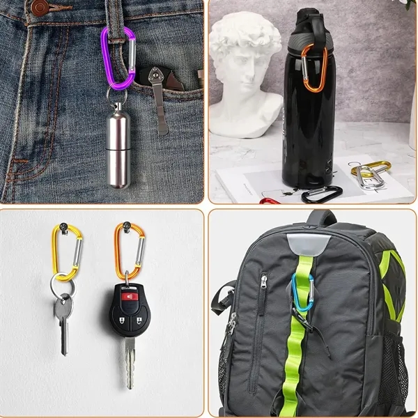 Carabiner Caribeaner Clip - Carabiner Caribeaner Clip - Image 1 of 7