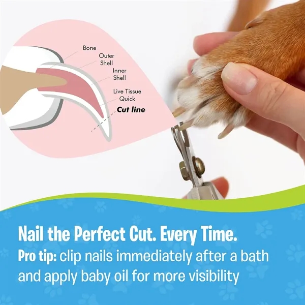 Pet Nail Clippers for Small Animals - Pet Nail Clippers for Small Animals - Image 2 of 7