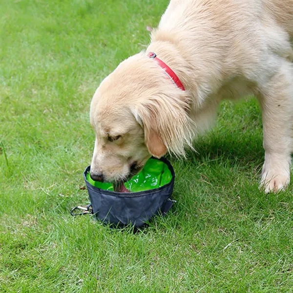 Collapsible Silicone Dog Bowl - Collapsible Silicone Dog Bowl - Image 3 of 3