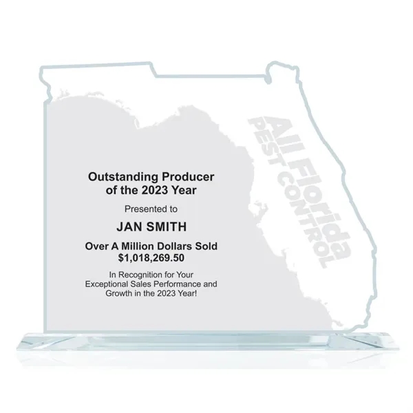 State Map Award -  Florida