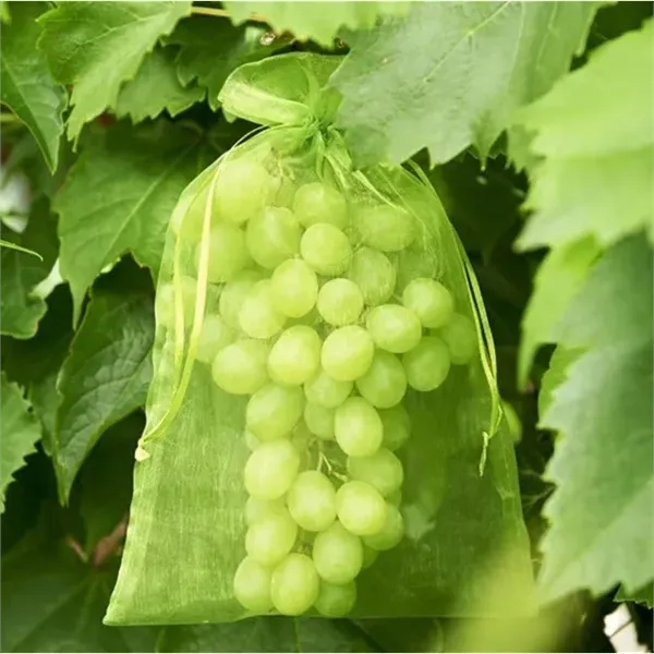 Organza Gift Bag Drawstring Storage Pouch - Organza Gift Bag Drawstring Storage Pouch - Image 3 of 3