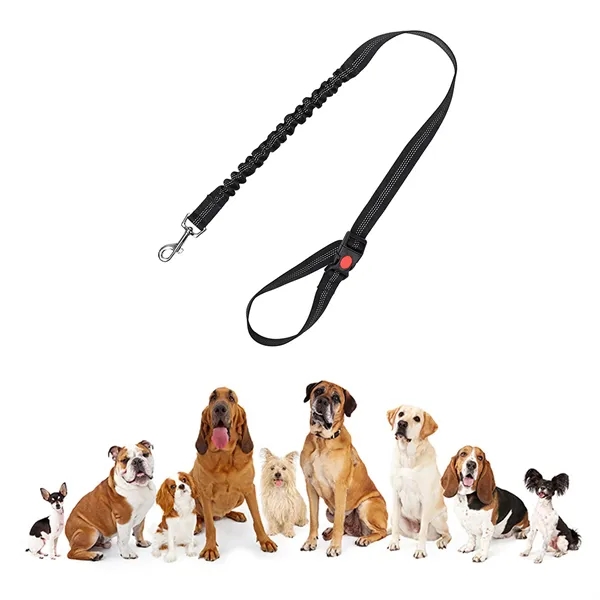 Reflective Pet Leash For Dog. - Reflective Pet Leash For Dog. - Image 1 of 3