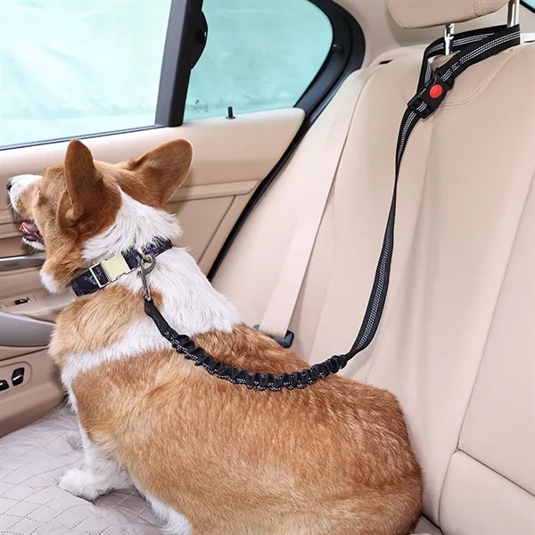 Reflective Pet Leash For Dog. - Reflective Pet Leash For Dog. - Image 2 of 3