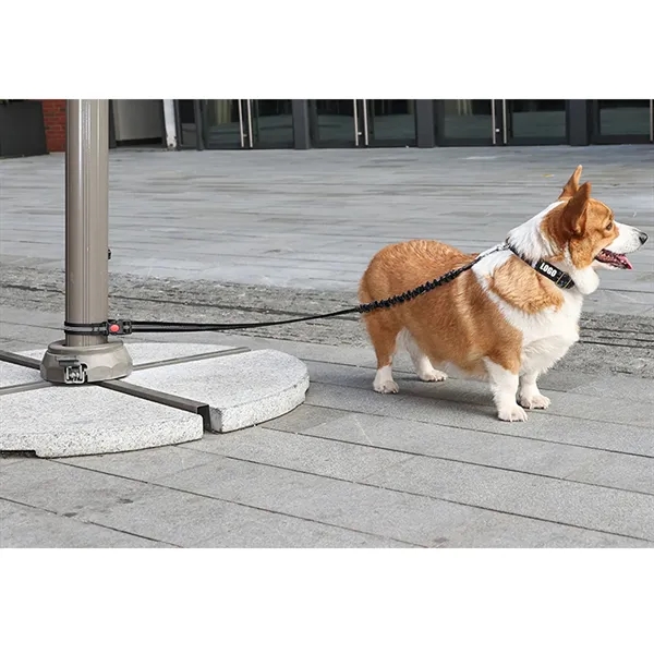 Reflective Pet Leash For Dog. - Reflective Pet Leash For Dog. - Image 3 of 3