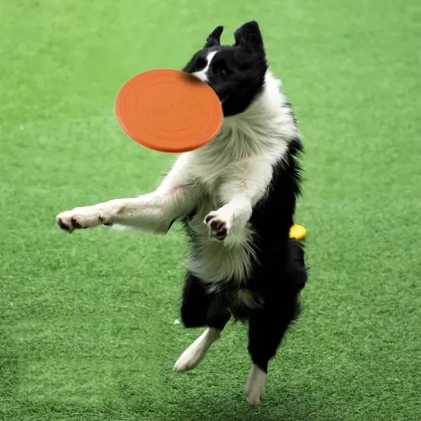 Dog Frisbee Soft Throwing Toy - Dog Frisbee Soft Throwing Toy - Image 3 of 3
