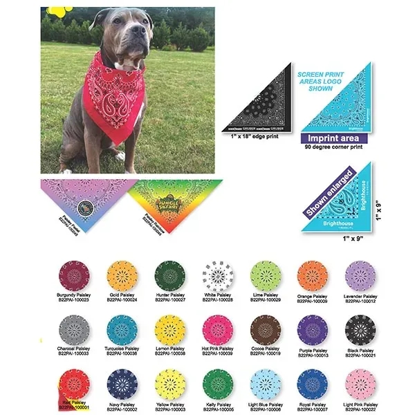 Economic Traditional Paisley Pet Bandanna Triangles - Med-Lg - Economic Traditional Paisley Pet Bandanna Triangles - Med-Lg - Image 0 of 0