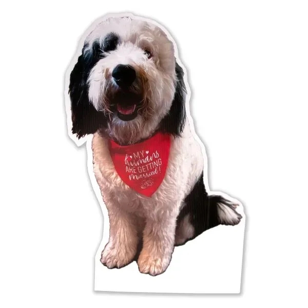 Custom Yard Sign - Up to 22" x 22" - Full Color - Custom Yard Sign - Up to 22" x 22" - Full Color - Image 2 of 2