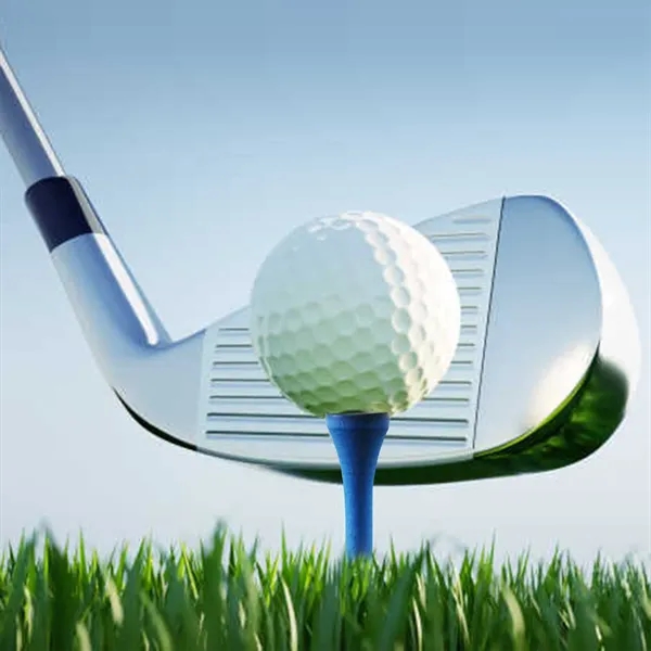 Personalized Engraved Golf Tees Business Gifts - Personalized Engraved Golf Tees Business Gifts - Image 2 of 4