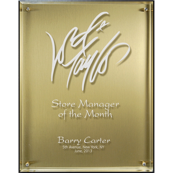 Hi-Tech Lucite Riser Plaque with Wood Backing and Plate - Hi-Tech Lucite Riser Plaque with Wood Backing and Plate - Image 1 of 1
