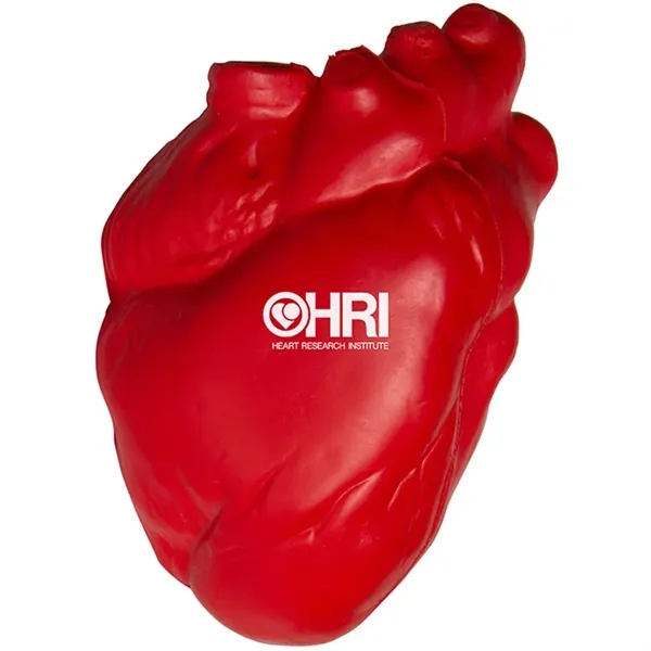 Anatomic Heart Stress Reliever - Anatomic Heart Stress Reliever - Image 5 of 6