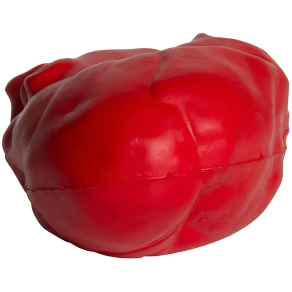 Anatomic Heart Stress Reliever - Anatomic Heart Stress Reliever - Image 6 of 6
