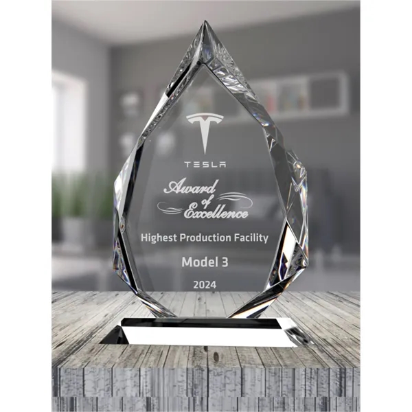 The Reign Award - The Reign Award - Image 0 of 0