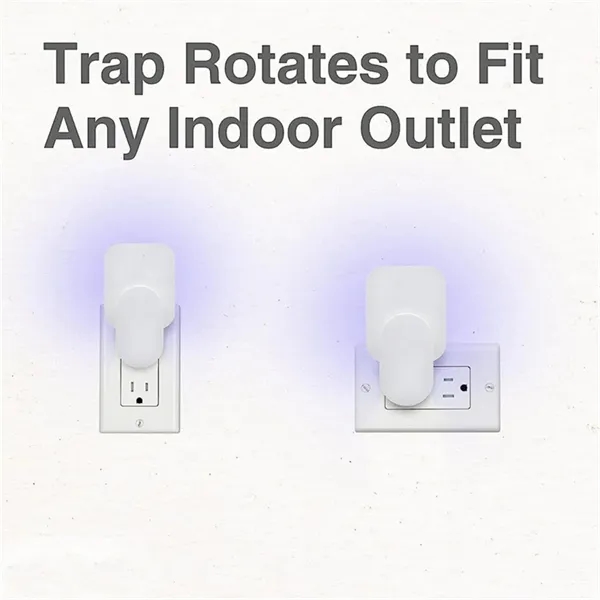 Plug-In Multi Insect Killer Lamp Fly Trap with 2 Glue Cards - Plug-In Multi Insect Killer Lamp Fly Trap with 2 Glue Cards - Image 2 of 12