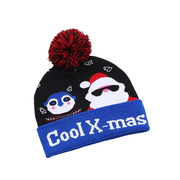 Winter Warm Hat Knit Beanie for Women Men - Winter Warm Hat Knit Beanie for Women Men - Image 7 of 9