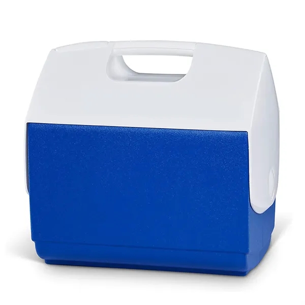 Custom Insulated Portable Cooler - Custom Insulated Portable Cooler - Image 1 of 4