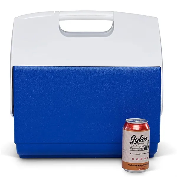 Custom Insulated Portable Cooler - Custom Insulated Portable Cooler - Image 3 of 4