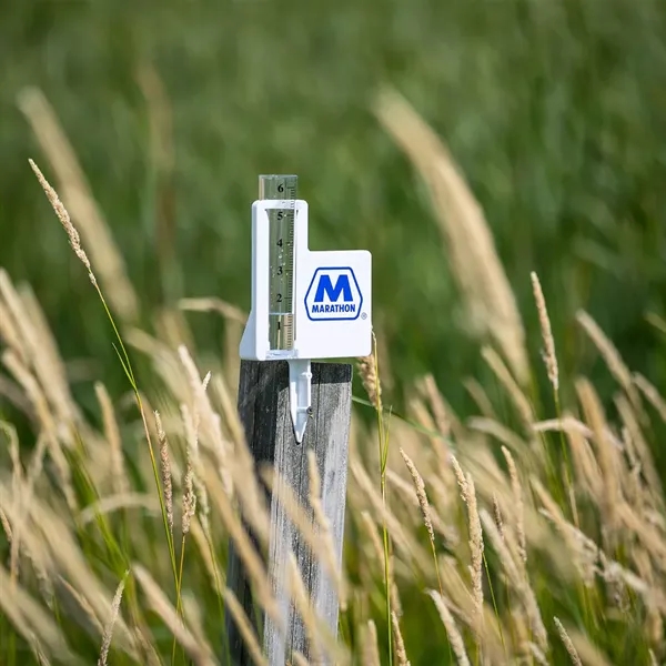 Custom Classic Jumbo Rain Gauge