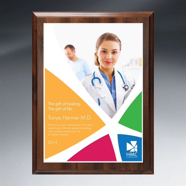 Choice of Digi-Color Plate on Economy Board