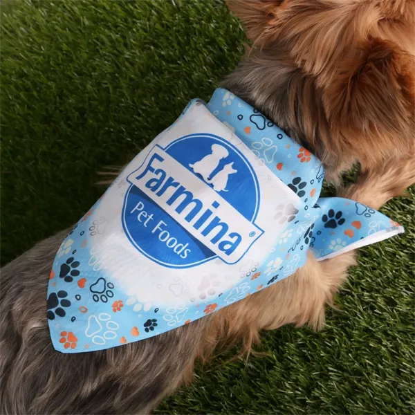 Sublimated RPET Bandana - Sublimated RPET Bandana - Image 0 of 3