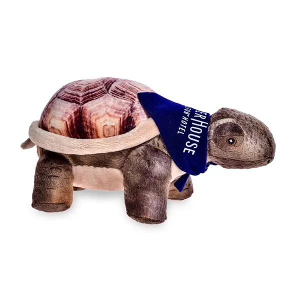 8" Tortoise
