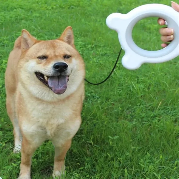 Automatic Retractable Dog Walking Leash Rope Pet Supplies - Automatic Retractable Dog Walking Leash Rope Pet Supplies - Image 7 of 7